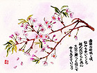 筆金子氏の桜の水彩画