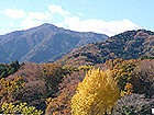 七沢から大山を望む紅葉風景