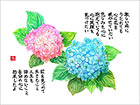 金子氏の描いた紫陽花の詩画